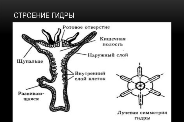 Кракен нарко