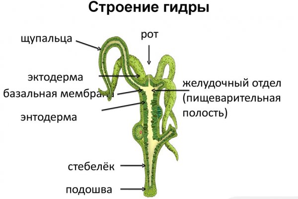 Кракен zerkalo pw