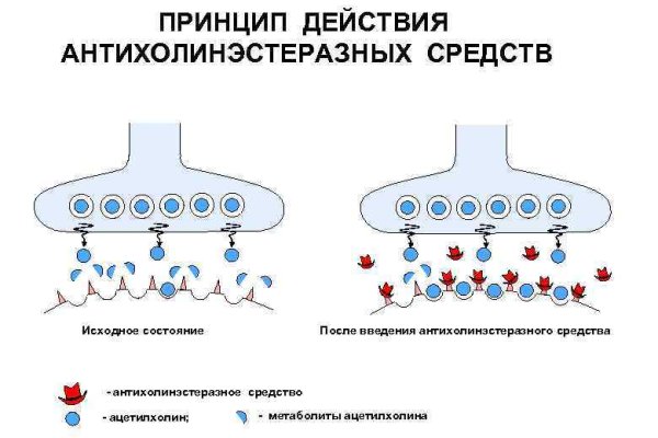 Ссылка на кракен в браузере