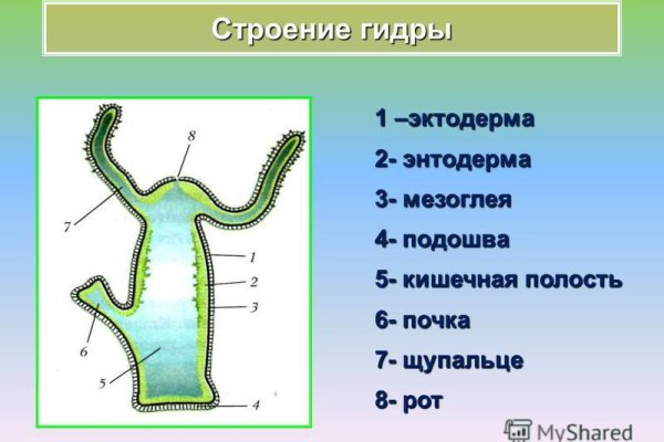 Кракен даркшоп